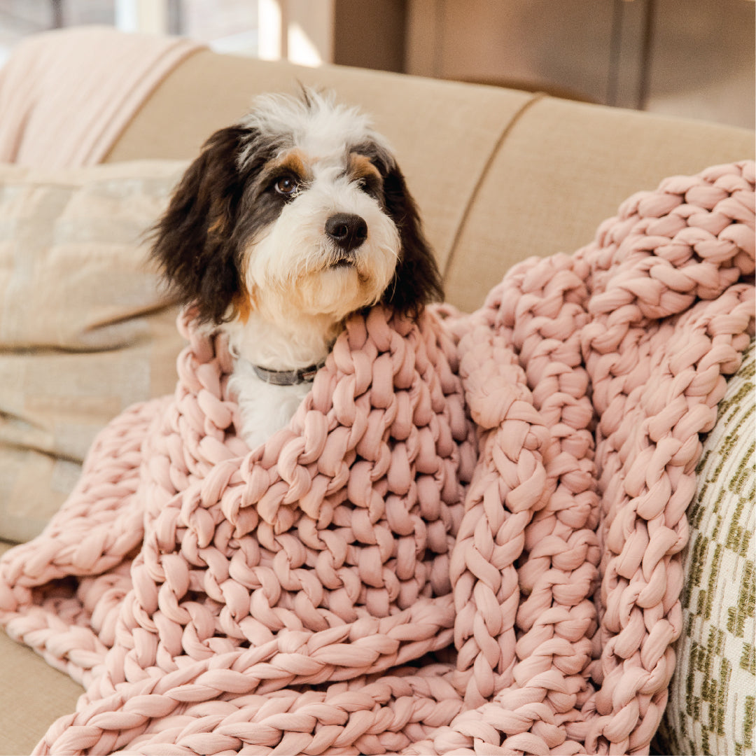 Weighted Blankets & Anxiety In Dogs: A Vet’s Opinion