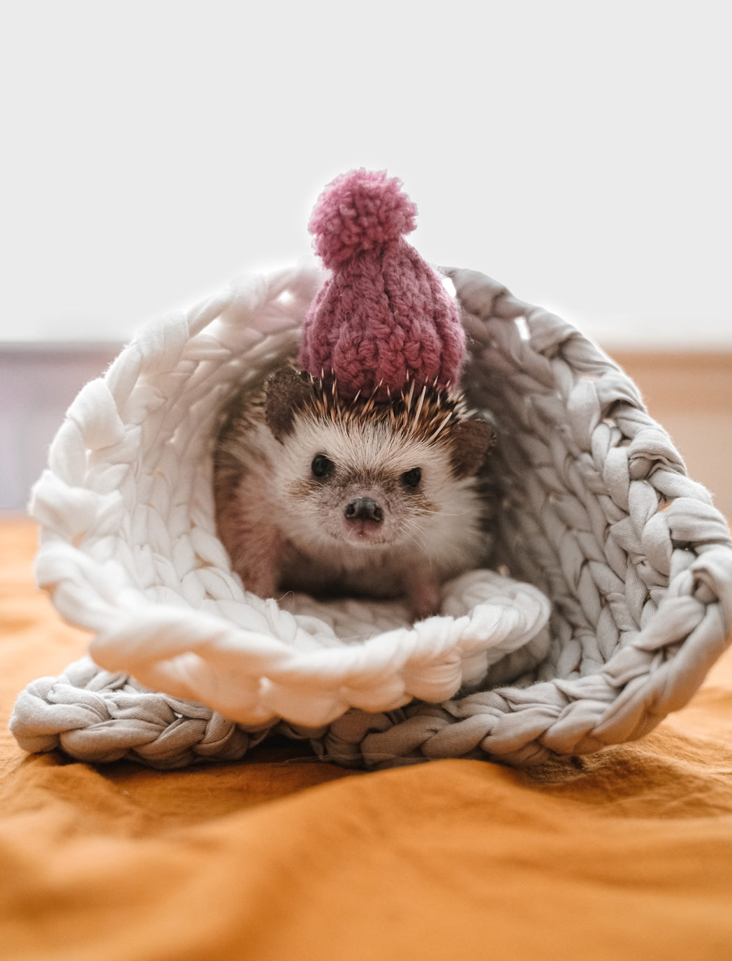 hedgehog weighted blanket
